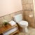 Delphi West Senior Bath Solutions by Independent Home Products, LLC